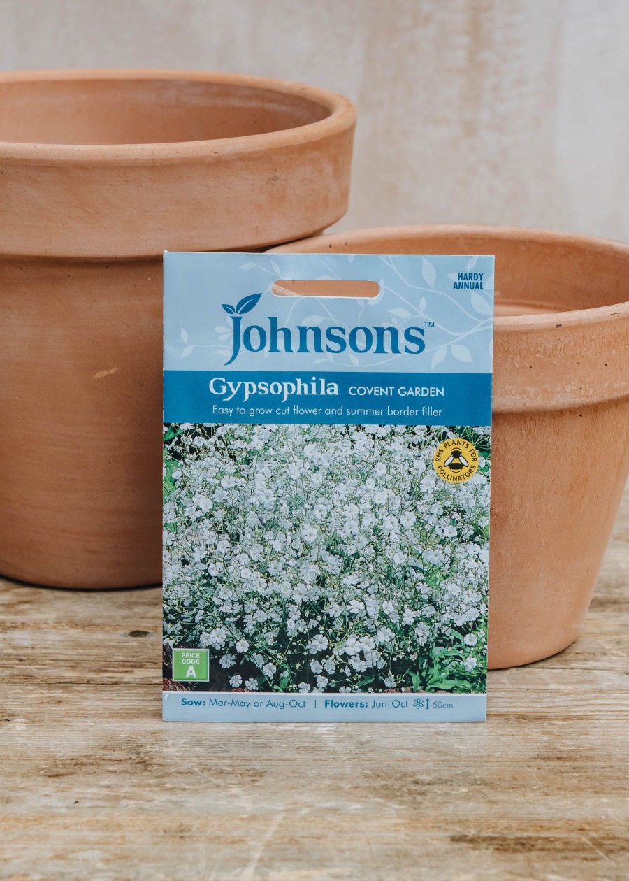 Plants Johnsons Seeds | Gypsophila Covent Garden Seeds