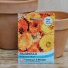 Plants Thompson & Morgan Seeds | Calendula Art Shades Mixed Seeds