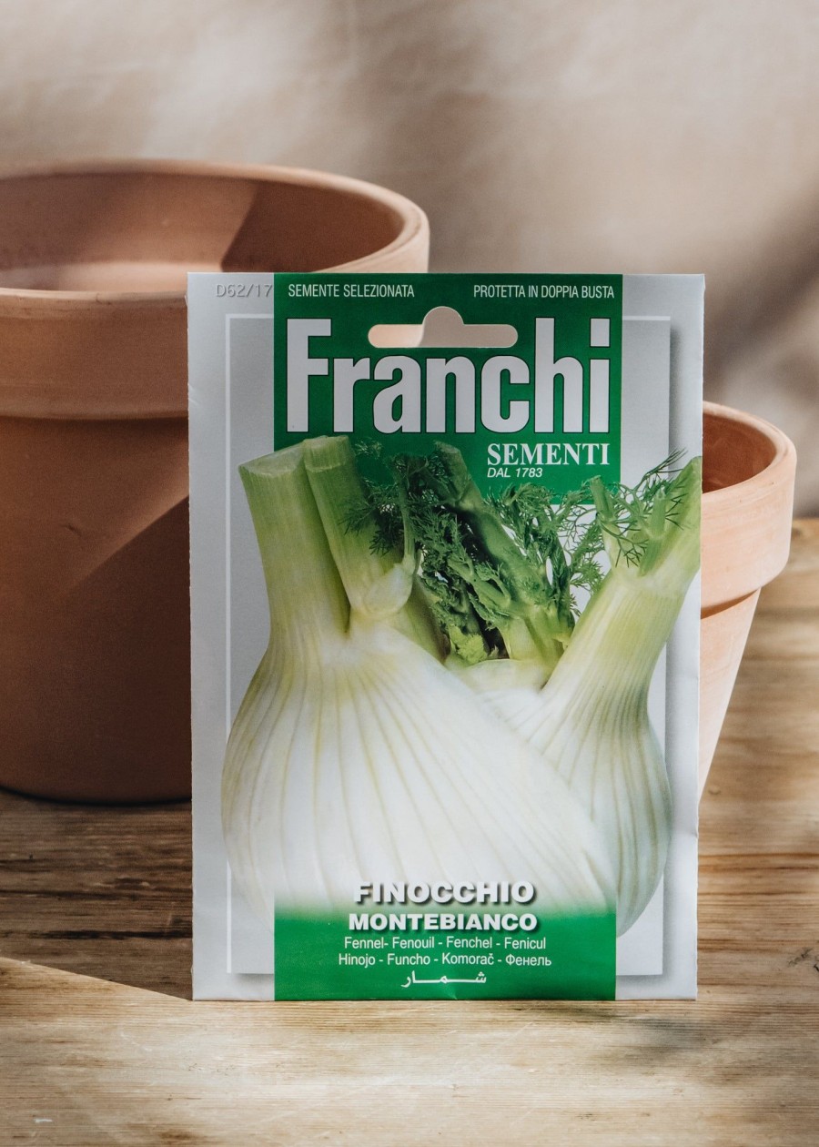 Plants Seeds of Italy Seeds | Franchi Fennel 'Montebianco' Seeds