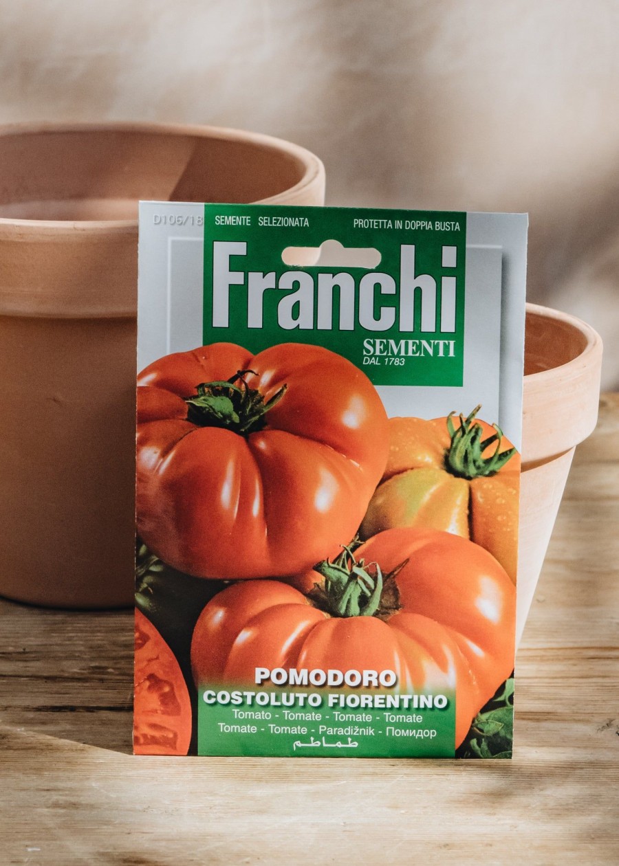 Plants Seeds of Italy Seeds | Franchi Tomato 'Costoluto Fiorentino' Seeds