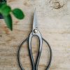 Gardening Niwaki Houseplant Care | Niwaki Kaneshin Bonsai Scissors