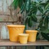 Interiors Bergs Potter Houseplants & Pots | Amber Yellow Glazed Copenhagen Pots