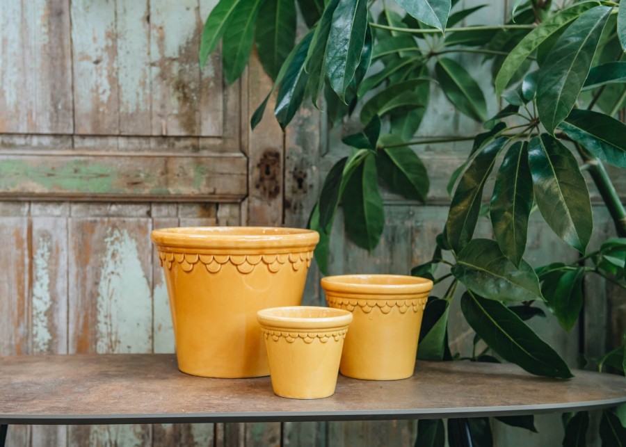 Interiors Bergs Potter Houseplants & Pots | Amber Yellow Glazed Copenhagen Pots