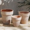 Interiors Bergs Potter Houseplants & Pots | Bergs Potter Simona Rosa Pot