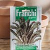 Plants Seeds of Italy Seeds | Frenchi Kale 'Cavolo Nero Di Toscana' Seeds