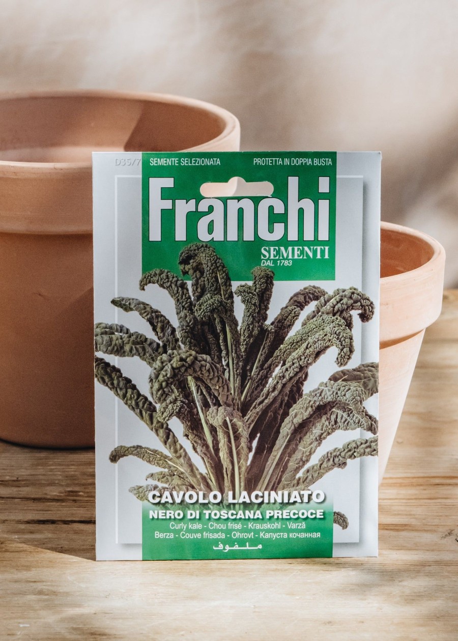 Plants Seeds of Italy Seeds | Frenchi Kale 'Cavolo Nero Di Toscana' Seeds