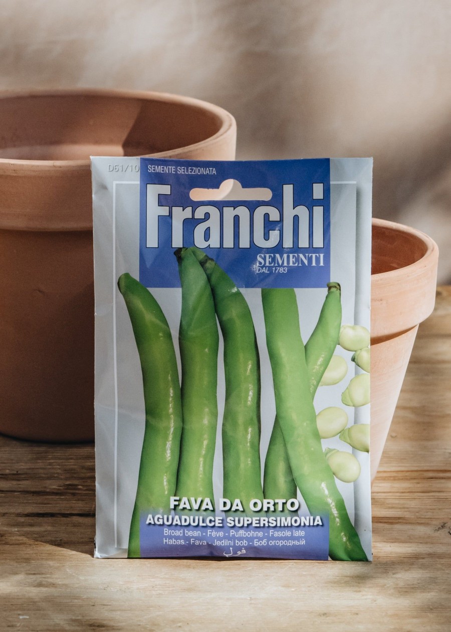 Plants Seeds of Italy Seeds | Franchi Broad Bean Seeds