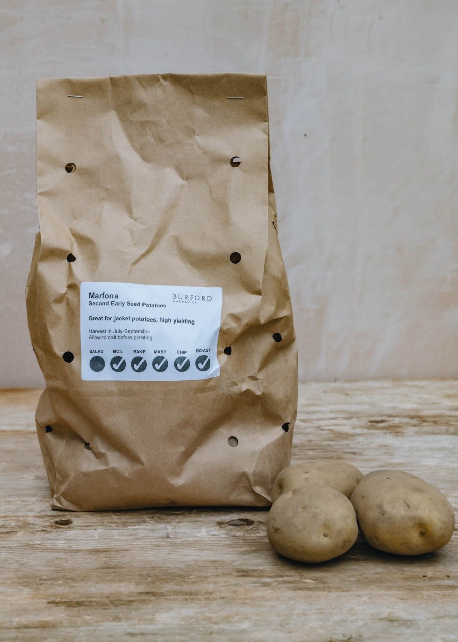 Plants Taylors Bulbs Seed Potatoes | Potato 'Marfona'