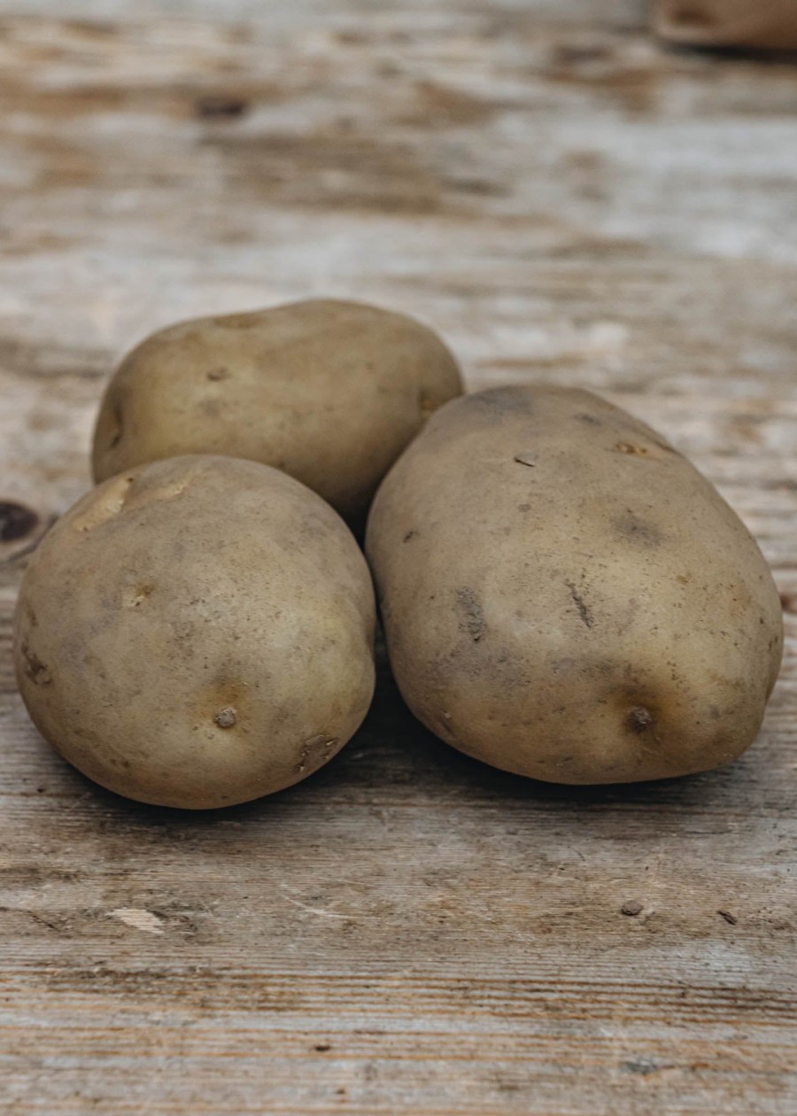 Plants Taylors Bulbs Seed Potatoes | Potato 'Marfona'