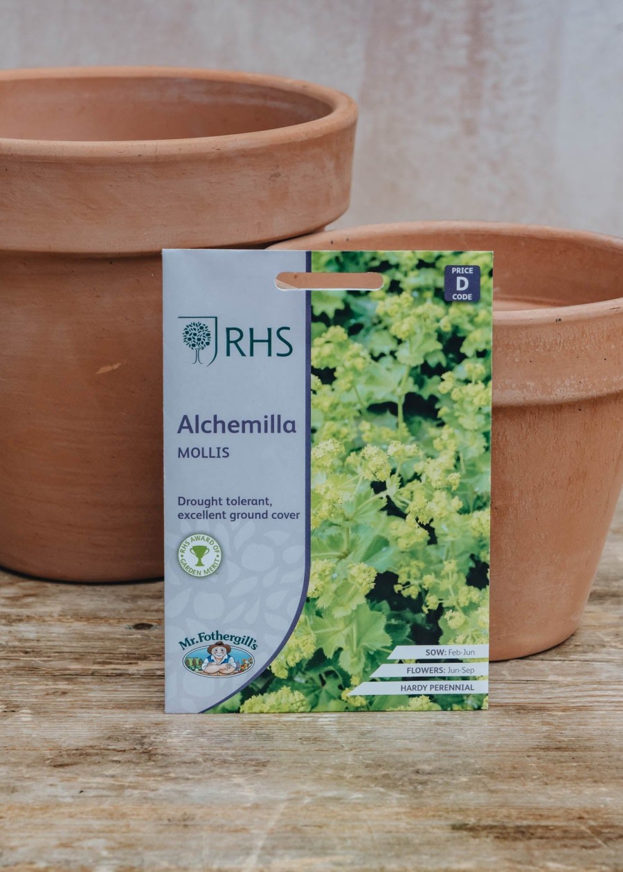 Plants Mr Fothergills Seeds | Alchemilla Mollis Seeds