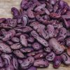 Plants Moles Seeds Pea & Bean Seeds | Runner Bean 'Enorma' Seeds, 250G