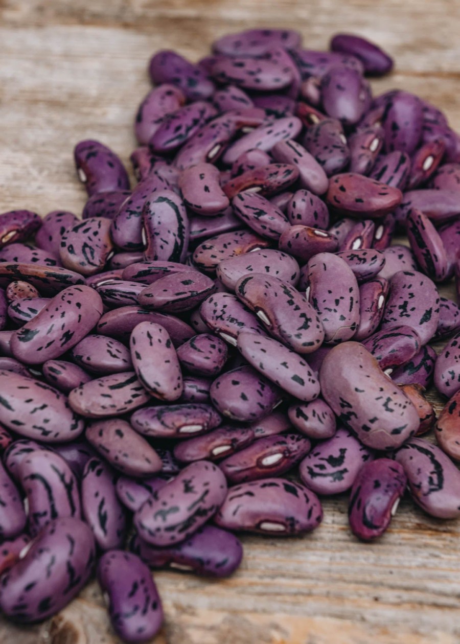 Plants Moles Seeds Pea & Bean Seeds | Runner Bean 'Enorma' Seeds, 250G