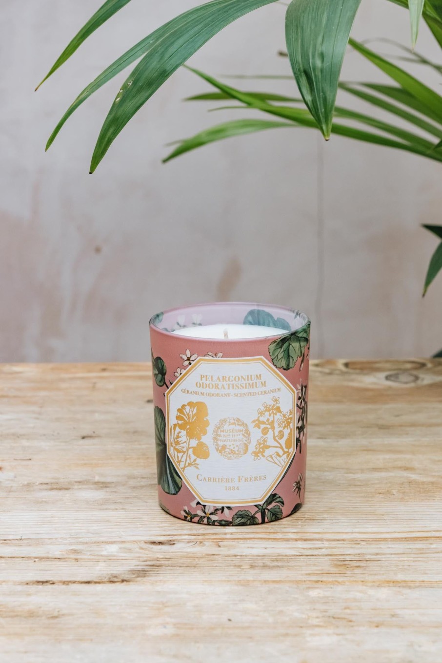 Interiors Carrière Frères Candles & Fragrance | Scented Candle In Geranium