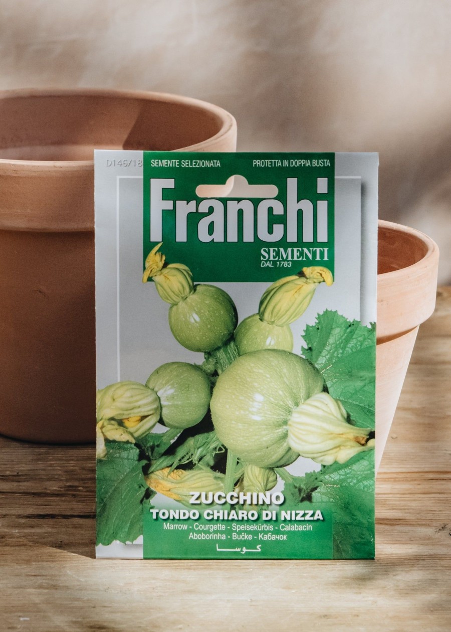 Plants Seeds of Italy Seeds | Franchi Courgette 'Tondo Chiaro Di Nizza' Seeds