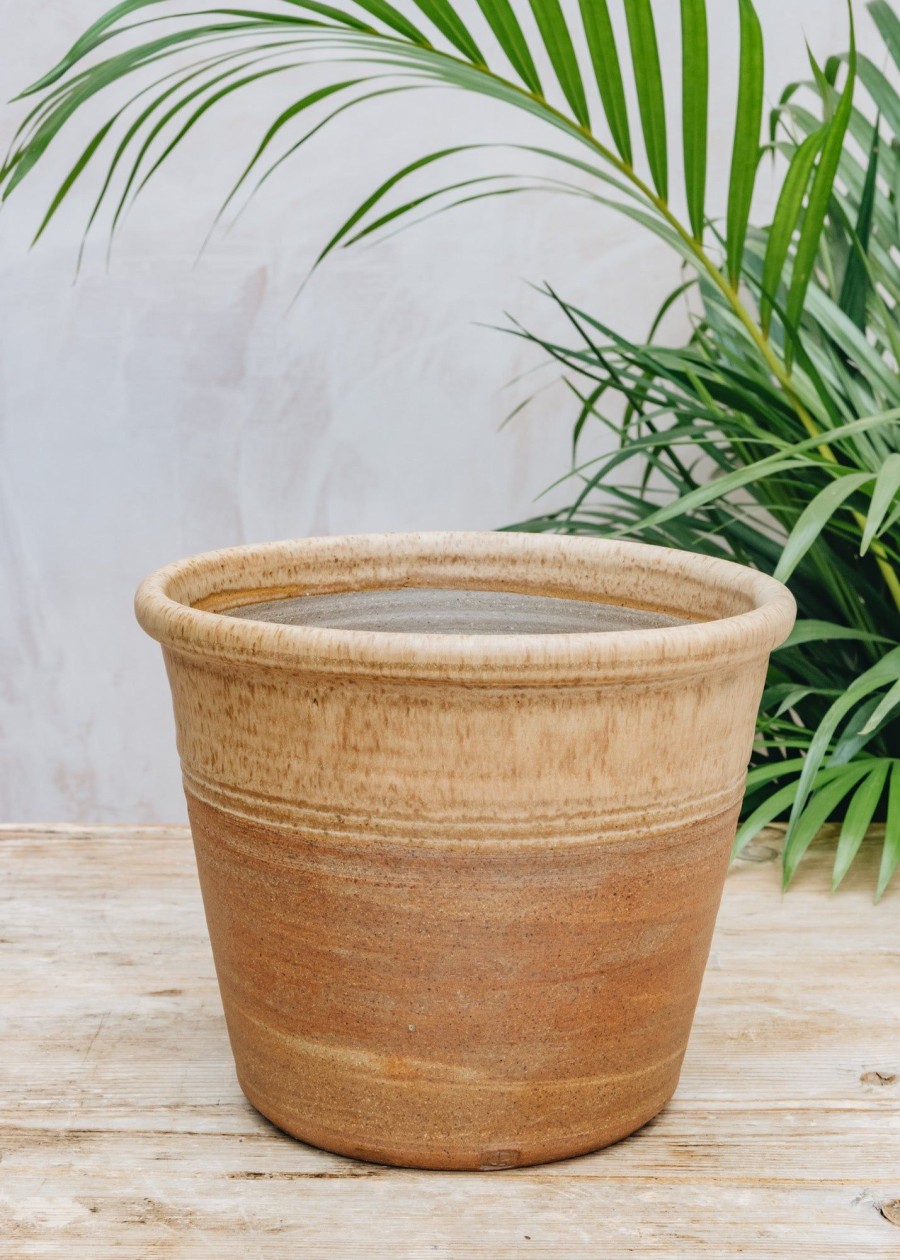 Plants Hook Norton Pottery Pots & Planters | Burford Design Large Pot Cover