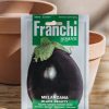 Plants Seeds of Italy Seeds | Franchi Aubergine 'Black Beauty' Seeds