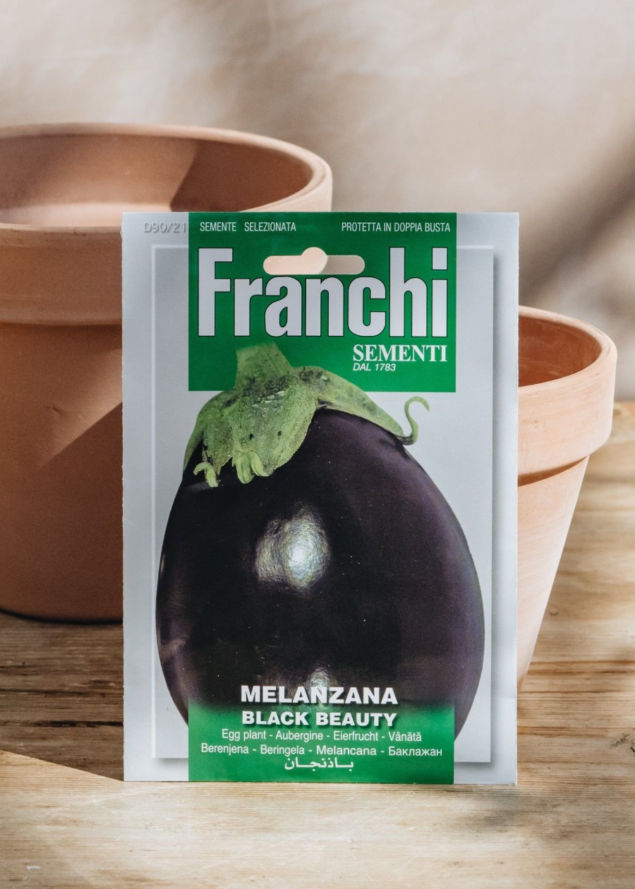 Plants Seeds of Italy Seeds | Franchi Aubergine 'Black Beauty' Seeds