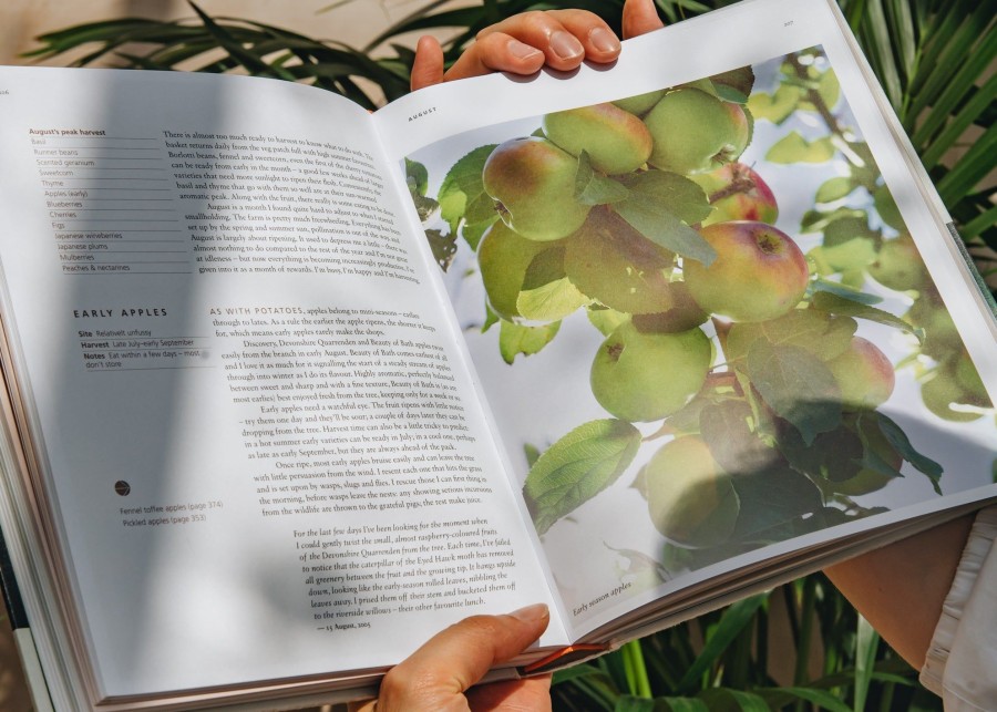 Books Cooking and Food Books Cooking & Food Books | A Year At Otter Farm By Mark Diacono