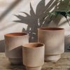 Interiors Bergs Potter Houseplants & Pots | Rosa Hoff Pots