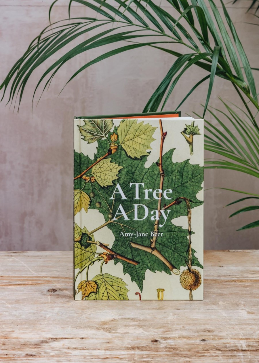 Books Books Garden & Plants Books | A Tree A Day By Amy-Jane Beer