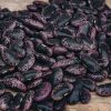 Plants Moles Seeds Pea & Bean Seeds | Runner Bean 'Scarlet Emperor' Seeds, 250G