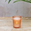 Interiors Trudon Candles & Fragrance | Trudon La Petite Candle In Tuileries