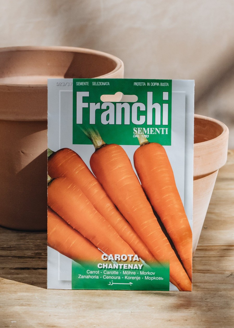 Plants Seeds of Italy Seeds | Franchi Carrot 'Chantenay' Seeds