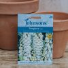 Plants Johnsons Seeds | Foxglove Alba Seeds