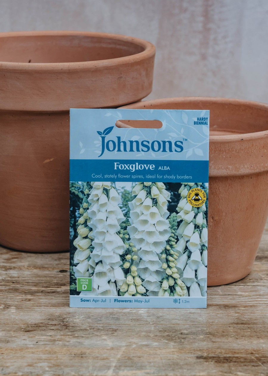 Plants Johnsons Seeds | Foxglove Alba Seeds