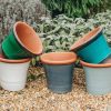 Gardening Smith and Jennings Pots & Planters | Buy Small Kitchen Planters