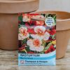 Plants Thompson & Morgan Seeds | Nasturtium Rumba Mixed Seeds