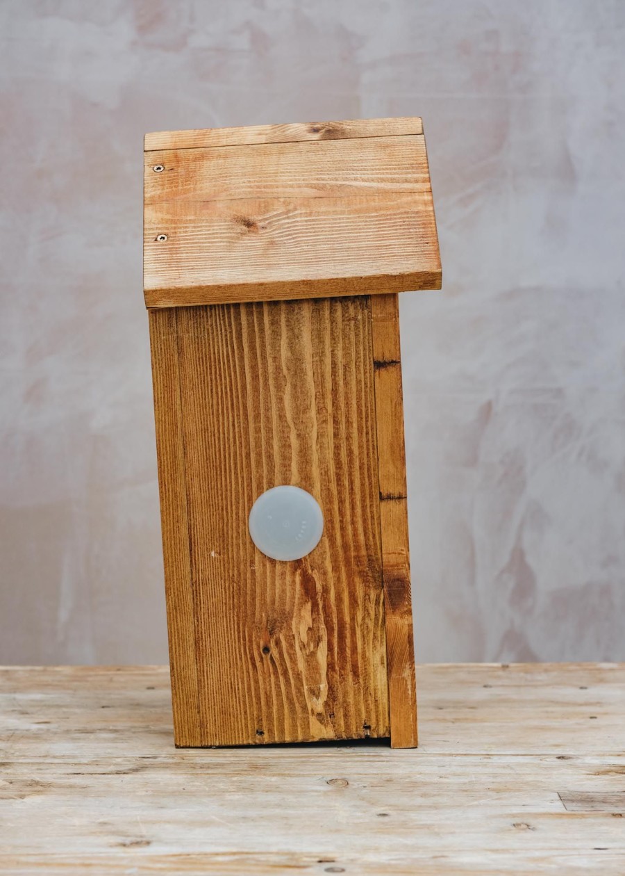 Outdoor Living Green Feathers Wildlife Care | Solar Camera Ready Bird Box With Side Windows