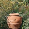 Gardening Garden Service Ltd Pots & Planters | Buy Orcio Panciuto Pots