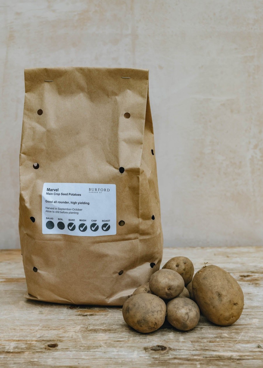 Plants Taylors Bulbs Seed Potatoes | Potato 'Marvel', 2Kg