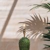 Interiors Pooky Lighting Lighting | Pooky Lighting Small Emerald Stucco Lamp
