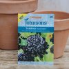 Plants Johnsons Seeds | Scabious Black Knight Seeds