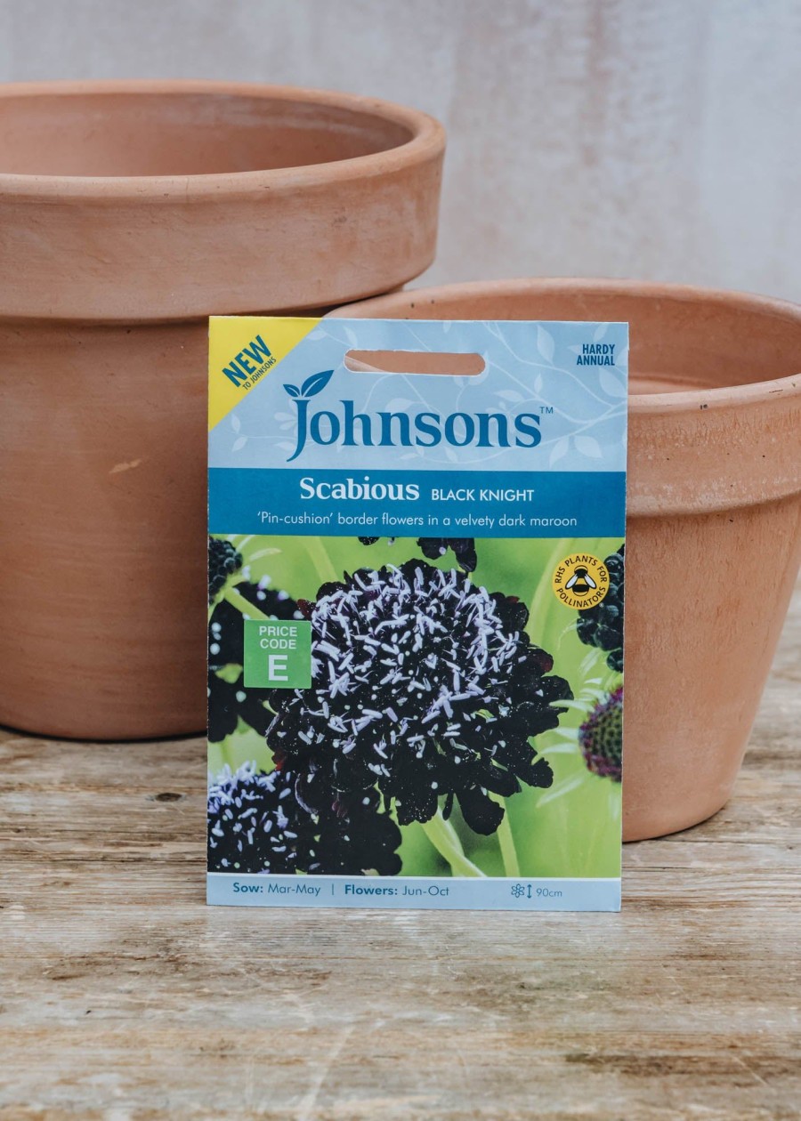 Plants Johnsons Seeds | Scabious Black Knight Seeds