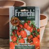 Plants Seeds of Italy Seeds | Franchi Tomato 'Baby Plum Valido' Seeds F1| Burford Garden Co.