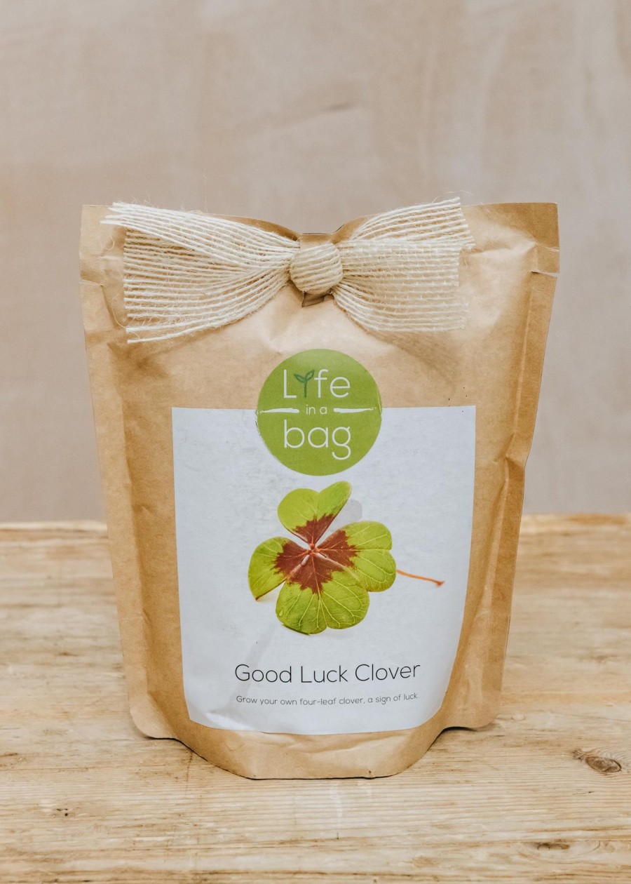 Plants Life in a Bag Seed Gift Sets | Life In A Bag Good Luck Clover Grow Bag