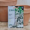 Plants Mr Fothergills Seeds | Ammi Majus Seeds