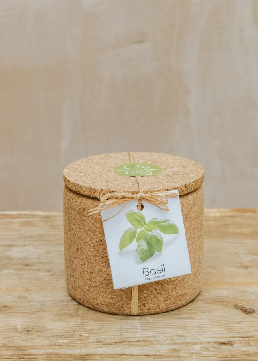 Plants Life in a Bag Seed Gift Sets | Life In A Bag Basil Grow Cork Pot