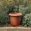 Gardening Garden Service Pots & Planters | Montelupa Terracotta Pot