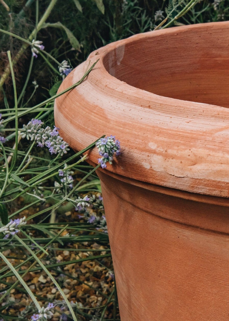 Gardening Garden Service Pots & Planters | Montelupa Terracotta Pot