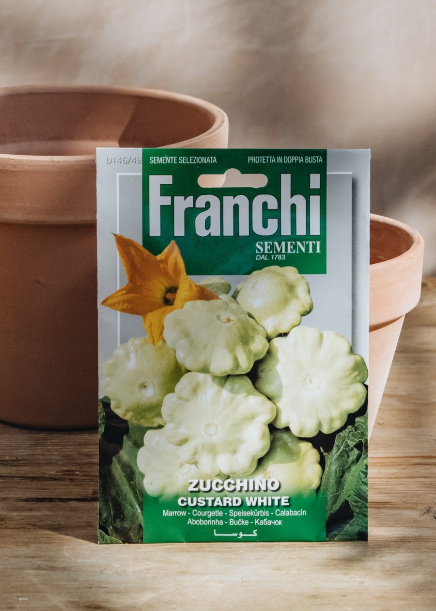 Plants Seeds of Italy Seeds | Franchi Courgette 'Custard White' Seeds