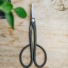 Gardening Niwaki Houseplant Care | Niwaki Kaneshin Bonsai Trimming Scissors