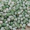 Plants Moles Seeds Seeds | Pea 'Sweet Horizon' Seeds, 250G