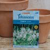 Plants Johnsons Seeds | Gaura The Bride Seeds