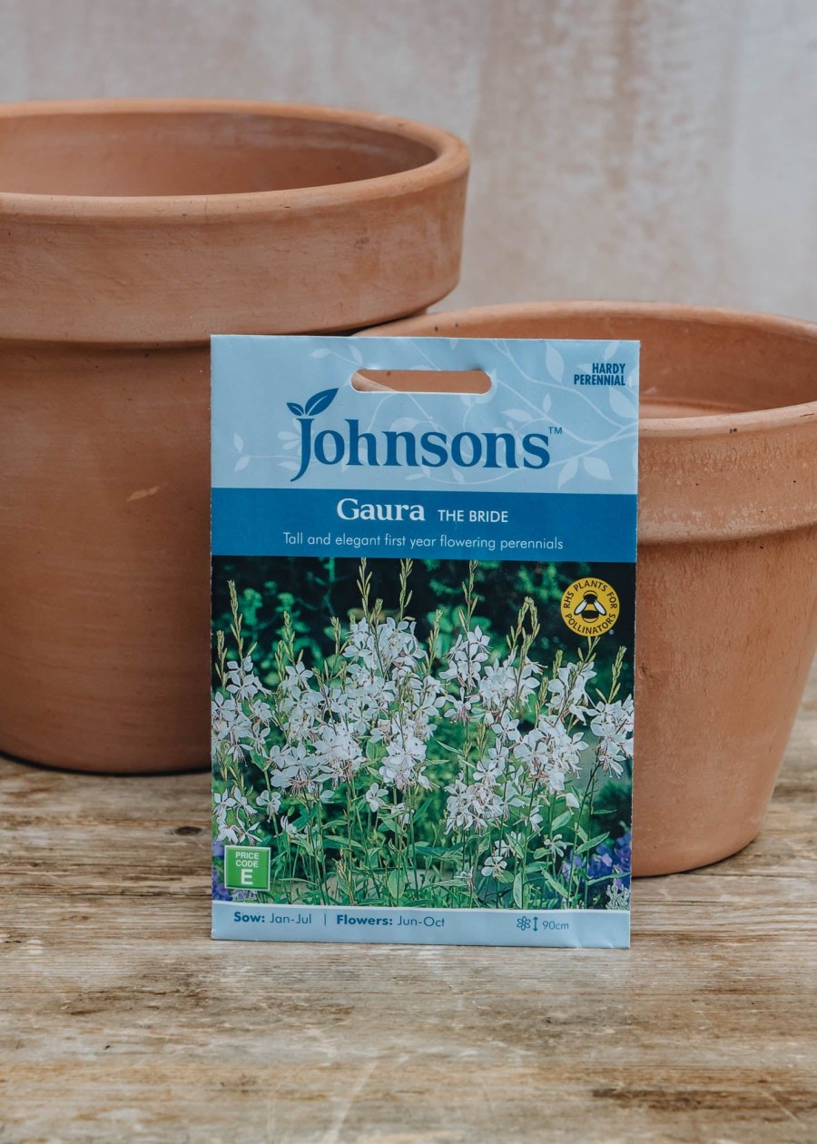 Plants Johnsons Seeds | Gaura The Bride Seeds