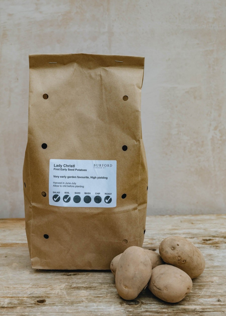 Plants Taylors Bulbs Seed Potatoes | Potato 'Lady Christl', 2Kg