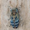 Clothing Trovelore Jewellery | Trovelore Snowdon Beetle Brooch